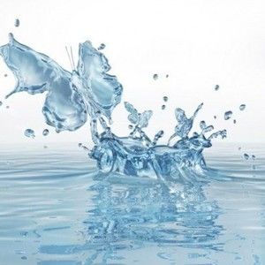 Meet your Posher, Aaliyah